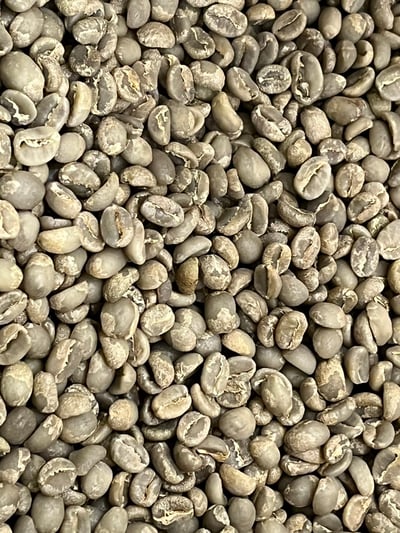 《鎮店之寶咖啡系列： 衣索比亞 Yirgacheffe 耶加雪菲 班可果丁丁 超高密度/水洗批次 Gr.1 74110單一品種 茉香蜜桃小調》6