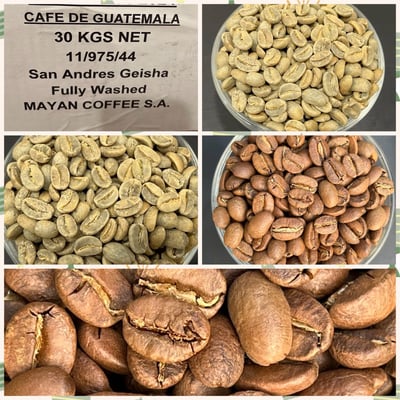 《藝伎之寶咖啡：瓜地馬拉 新東方/卡斯卡哈爾莊園 🍑果嶼之歌🎵 Geisha藝伎/瑰夏水洗》5