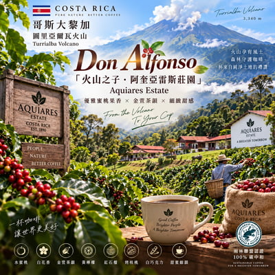 《非喝不可系列：哥斯大黎加 圖里亞爾瓦火山 阿奎亞雷斯 🌷金萱果漾香頌🍑 水洗特色咖啡》3