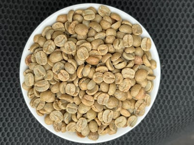 《老巴傳奇咖啡：巴西 米納斯吉拉斯州 好望角莊園 Acaia 阿卡依 珍稀品種 蜜處理咖啡：🌞陽光蜜果🍬》7