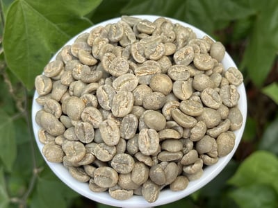 《一代宗師/真功夫咖啡系列：肯亞 Nyeri 涅里 魯吉農民合作社 Giathugu Factory 賈圖古處理廠 88高分首選 AA TOP 水洗咖啡微型批次》7