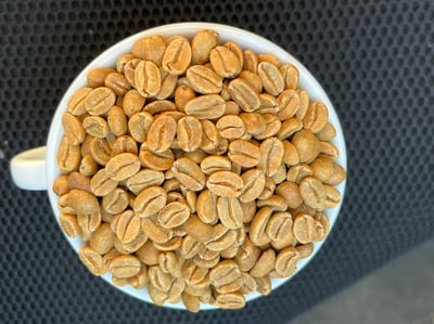 《超級大師咖啡系列：哥斯大黎加  西部谷地 Finca Santa Lucia 聖塔露西亞莊園 Kenia San Roque 肯尼亞･聖克洛 CoE冠軍品種 厭氧日曬/特色咖啡 --果燃繽紛》10