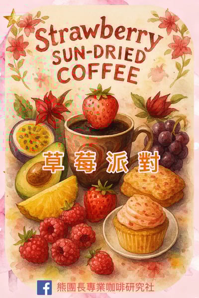 百寶箱｜熱銷款精選500克小包裝咖啡生豆專區 (冬之鑽)6