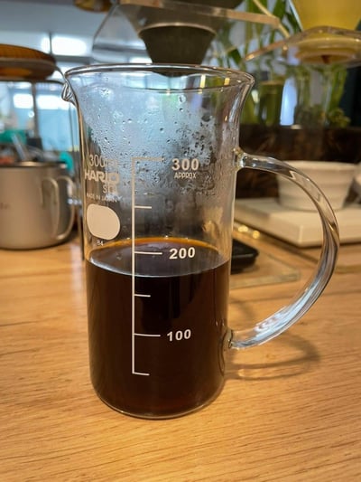 熊團長每月特惠咖啡｜瓜地馬拉 科班雨林 聖塔伊莎貝爾 水洗咖啡熟豆 (買一送一)6