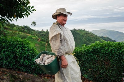 《新春報喜咖啡系列：哥倫比亞 Antioquia 安提奧基亞省 Finca Camelia 山茶花莊園 筒倉遮陰乾燥☀ 水洗特色微批次》4