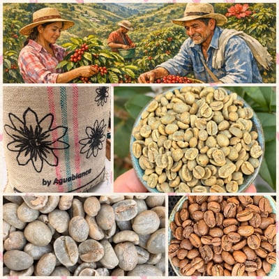 《極致品味系列：哥倫比亞 薇拉省/阿瓜布蘭卡 🍑桃花語🌺 特色水洗咖啡》2