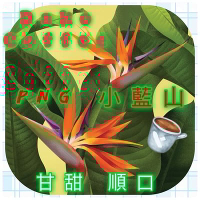 熊團長每月特惠咖啡｜巴布亞新幾內亞 吉瓦卡/達科小農️ 小藍山水洗咖啡熟豆 (買一送一)2