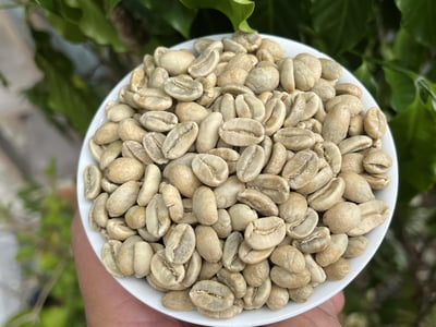 《品種大師咖啡：尼加拉瓜 高原莊園 果汁發酵處理🍹 Parainema 水洗咖啡：🍑白蜜果曦✨》8