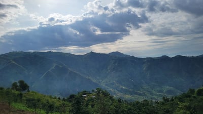 《非洲勇士咖啡系列：烏干達 東部埃爾貢山 馬納夫瓦 🛡️東非戰神✨ SL-28水洗咖啡》3