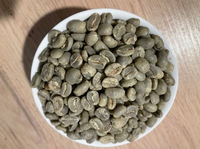 熊團長每月特惠咖啡｜瓜地馬拉 科班雨林 聖塔伊莎貝爾 水洗咖啡熟豆 (買一送一)3