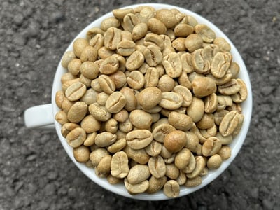 《獨家風味咖啡系列： 尼加拉瓜 希諾特加 Finca Linda Vista 琳達維斯塔莊園—莓妍荔語 隧道遮蔭慢速乾燥 ☀️雙重發酵日曬咖啡》7