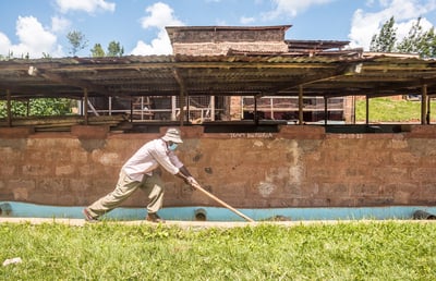熊團長精選系列：肯亞 穆蘭嘉 新基里提農民合作社 產區精選/水洗特色咖啡—森之莓比賽級微批次3