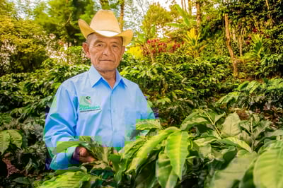 《藝伎之寶咖啡：瓜地馬拉 新東方/卡斯卡哈爾莊園 🍑果嶼之歌🎵 Geisha藝伎/瑰夏水洗》4