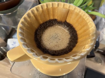 蛇年吉祥藝伎咖啡｜衣索比亞 班奇馬吉 日曬Geisha 咖啡熟豆買一磅送一磅優惠7