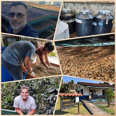 《風味獨特系列咖啡：哥斯大黎加 聖塔露西亞莊園 熊蓋頌🍷Plus+ 鐵比卡/冰果釀日曬特色咖啡》3