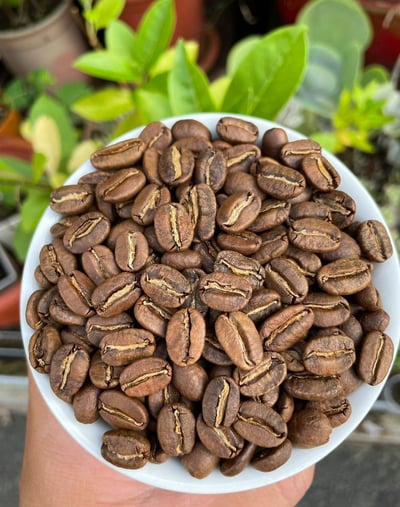 熊團長每月特惠咖啡｜巴布亞新幾內亞 吉瓦卡/達科小農️ 小藍山水洗咖啡熟豆 (買一送一)8