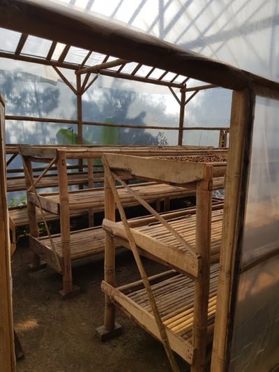 《老司機專屬咖啡：糖果寶貝— 東爪哇島 East Java 阿爾戈普羅火山產區 波瑪斯･瓦利達合作社 紅蜜處理/特色咖啡 Muhlisin Micro Lots》9