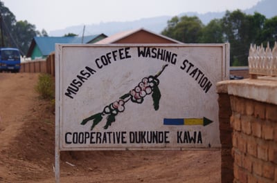 《甜美系列咖啡：盧安達 北部省 咖啡之家/茹莉處理站 🍇洛柚紅韻🌸水洗特色咖啡》4