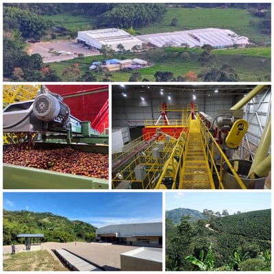 《極致品味系列：哥倫比亞 薇拉省/阿瓜布蘭卡 🍑桃花語🌺 特色水洗咖啡》3