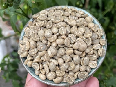 歡慶母親節優惠咖啡｜衣索比亞+馬拉威 藝伎Geisha 咖啡熟豆 買一送一大優惠5