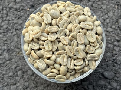 《藝伎之寶咖啡：瓜地馬拉 新東方/卡斯卡哈爾莊園 🍑果嶼之歌🎵 Geisha藝伎/瑰夏水洗》7