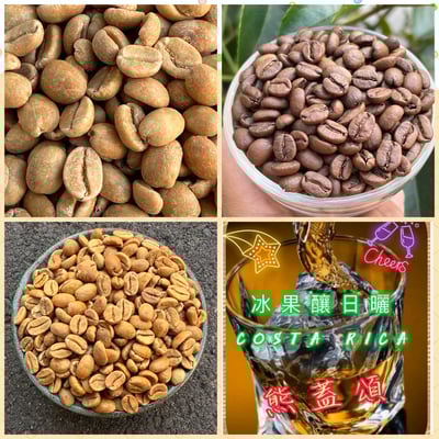 《風味獨特系列咖啡：哥斯大黎加 聖塔露西亞莊園 熊蓋頌🍷Plus+ 鐵比卡/冰果釀日曬特色咖啡》6