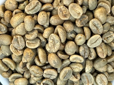 《新春報喜咖啡系列：哥倫比亞 Antioquia 安提奧基亞省 Finca Camelia 山茶花莊園 筒倉遮陰乾燥☀ 水洗特色微批次》9