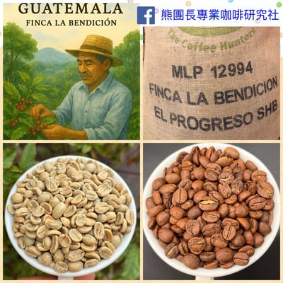 熊團長每月特惠咖啡｜瓜地馬拉 祝福莊園 ✨森林之心 水洗咖啡熟豆 (買一送一)1