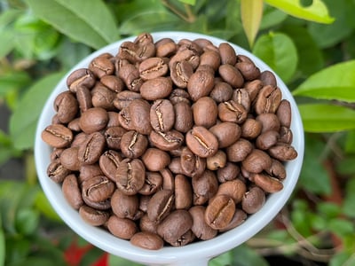 熊團長每月特惠咖啡｜宏都拉斯 奧科特佩克/賞花莊園 雋永花神 水洗咖啡熟豆 (買一送一)6