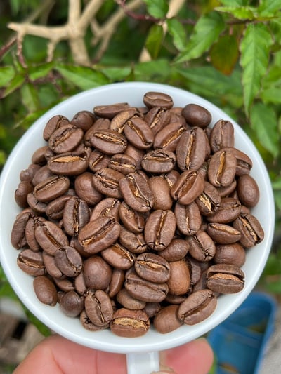 咖啡生豆每公斤代烘焙含包裝