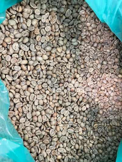 《老司機專屬咖啡：糖果寶貝— 東爪哇島 East Java 阿爾戈普羅火山產區 波瑪斯･瓦利達合作社 紅蜜處理/特色咖啡 Muhlisin Micro Lots》14