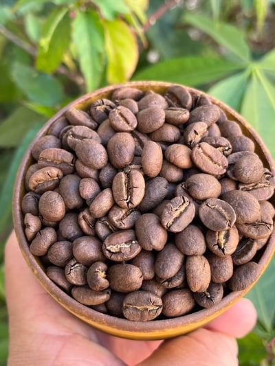 熊團長每月特惠咖啡｜盧安達 北部省 姆比利瑪/ 菓香香 紅波旁水洗咖啡熟豆 (買一送一)6