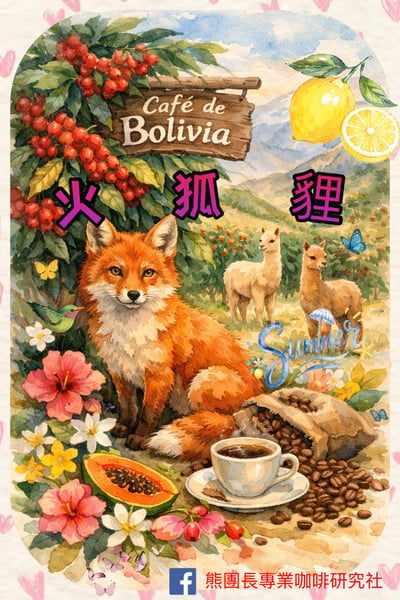 《夢幻南美洲系列：玻利維亞 卡拉納維/烏丘馬奇 🔥火狐狸🦊 水洗特色咖啡》1