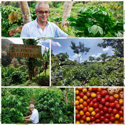 中秋圓滿｜比熊濾掛式咖啡禮盒20入5