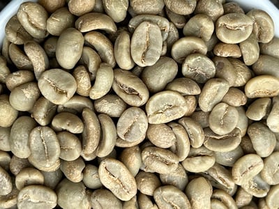 熊團長每月特惠咖啡｜宏都拉斯 奧科特佩克/賞花莊園 雋永花神 水洗咖啡熟豆 (買一送一)4