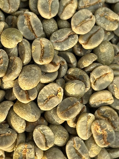 《老巴傳奇咖啡：新產季 巴西 米納斯吉拉斯州 Fazenda Chapadão 查帕鐺莊園 ☀ Icatu日曬咖啡：堅果巧克力森巴》6