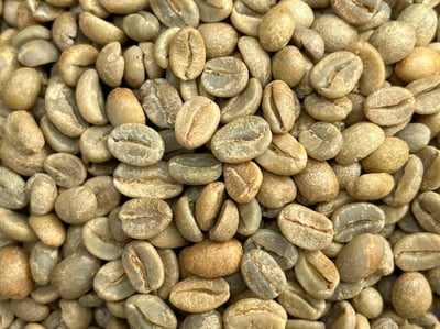 熊團長每月特惠咖啡｜盧安達 南部省/雷莓拉 Buf女王蜂 日曬咖啡熟豆 (買一送一)6