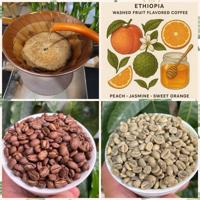 熊團長每月特惠咖啡｜衣索比亞 耶加雪菲 班可•果丁丁 水洗咖啡熟豆 (買一送一)1