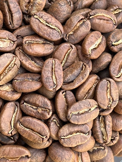 《快樂島特色咖啡系列：巴布亞新幾內亞 Eastern Highlands 東部高地 Moanti Mill 莫安蒂處理站 Typica 鐵皮卡/水洗 ️寶可娜特色咖啡》10