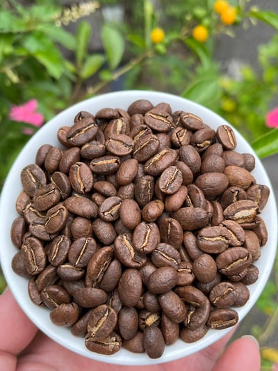 《安地斯花蝶咖啡系列：哥倫比亞 Huila/聖奧古斯丁 Obispo 奧比斯波/農協俱樂部 水洗特色咖啡—甜果園微量批次》9