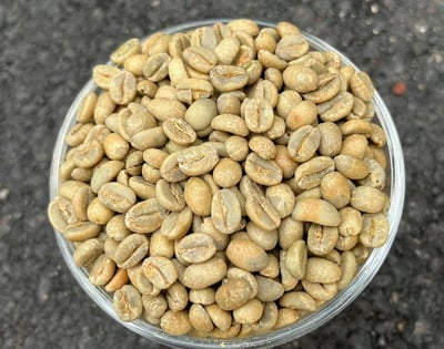 馬到成功藝伎咖啡｜衣索比亞 古吉 千里馬日曬藝伎Geisha 咖啡熟豆買一磅送一磅優惠5