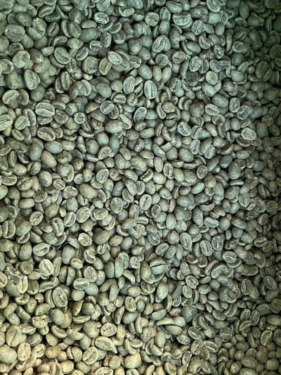 《安地斯花蝶咖啡系列：哥倫比亞 Huila/聖奧古斯丁 Obispo 奧比斯波/農協俱樂部 水洗特色咖啡—甜果園微量批次》10