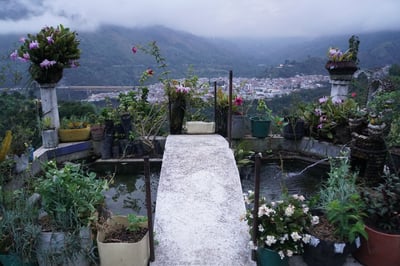 《安地斯花蝶系列：哥倫比 Tolima 托利馬 El Diamante 鑽石莊園 玫瑰波旁 水洗特色咖啡—胭脂芙蓉 微量批次 原產地真空包裝》5