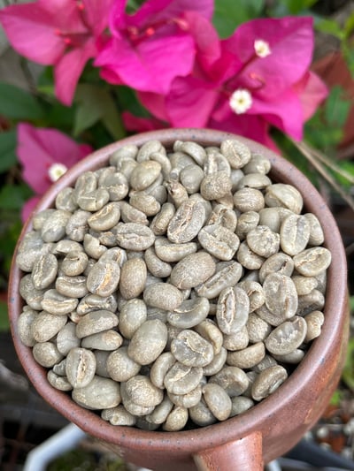 熊團長精選系列：肯亞 穆蘭嘉 新基里提農民合作社 產區精選/水洗特色咖啡—森之莓比賽級微批次7