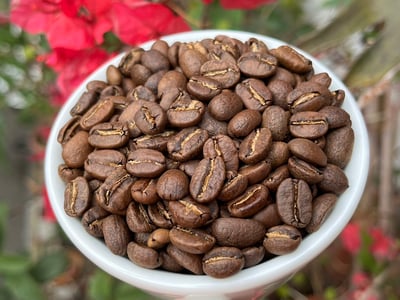 熊團長每月特惠咖啡｜墨西哥 恰帕斯/萊斯卡 莓果花茶 水洗咖啡熟豆 (買一送一)5