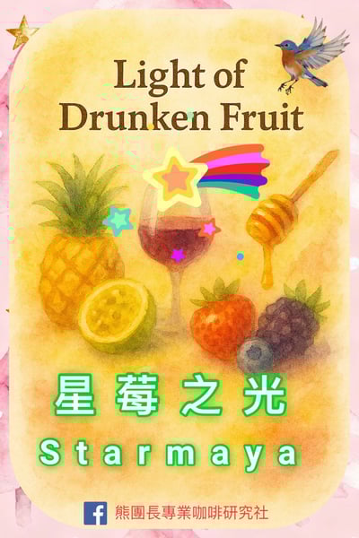 《獨門絕招咖啡系列：墨西哥 恰帕斯/錢珠爾莊園 🍒星莓之光🌟 雙重發酵水洗特色咖啡》1