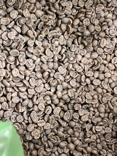 《一代宗師/真功夫咖啡系列：肯亞 Nyeri 涅里 魯吉農民合作社 Giathugu Factory 賈圖古處理廠 88高分首選 AA TOP 水洗咖啡微型批次》10