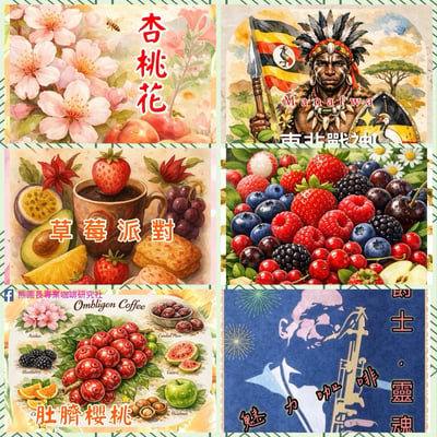 百寶箱｜熱銷款精選500克小包裝咖啡生豆專區 (迷戀夏果)2