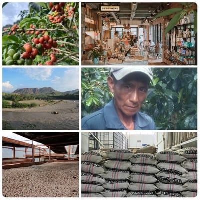 熊團長每月特惠咖啡｜哥倫比亞 考卡山谷 布里薩斯莊園/月柚香 水洗咖啡熟豆 (買一送一)3