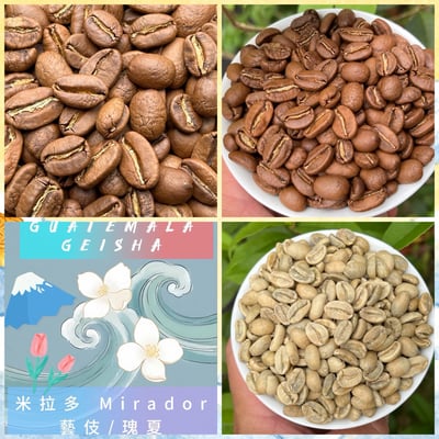中秋團圓藝伎咖啡｜瓜地馬拉 米拉多 水洗Geisha 咖啡熟豆買一磅送一磅優惠3